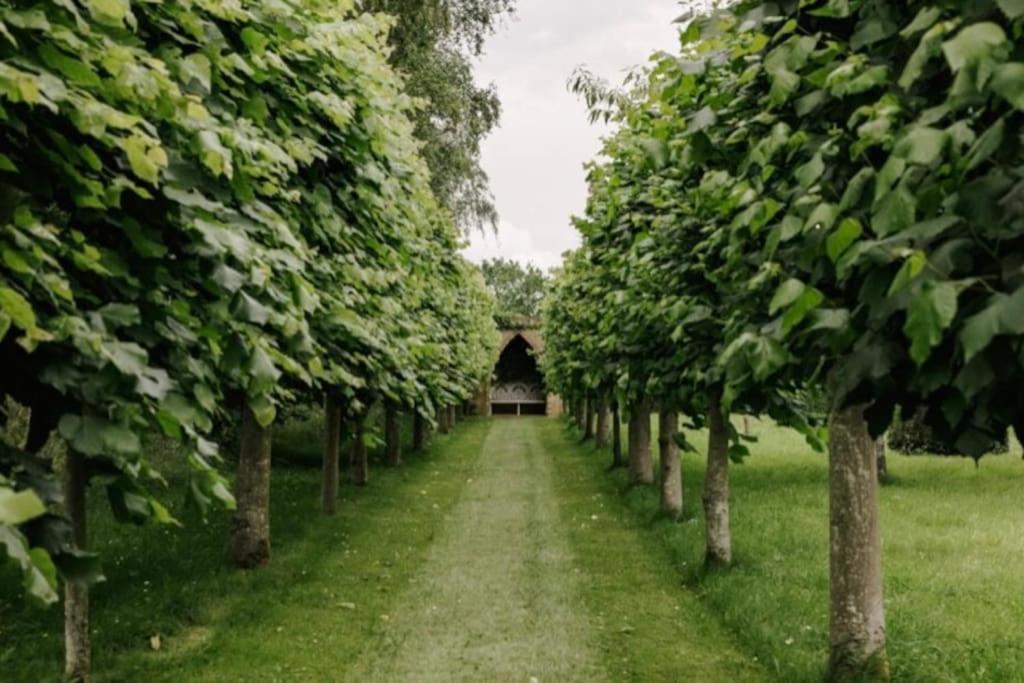 Cressy Hall - Historic Grade II Listed Manor, Gorgeous Topiary Garden Gosberton Exterior foto